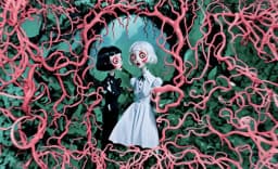 7. The Void