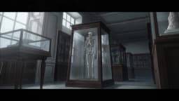 20. The Skeleton in the Case