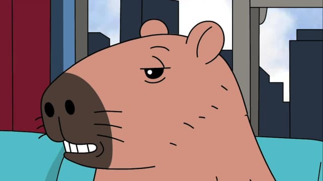 4. Peluqueria